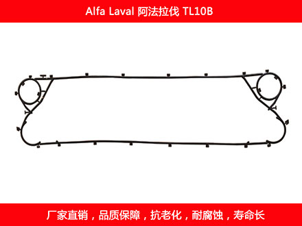 TL10P 國產板式麻豆视频APP下载安装密封墊片