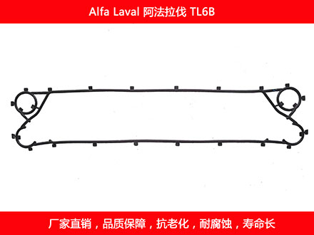 TL6B 國產板式麻豆视频APP下载安装密封墊片