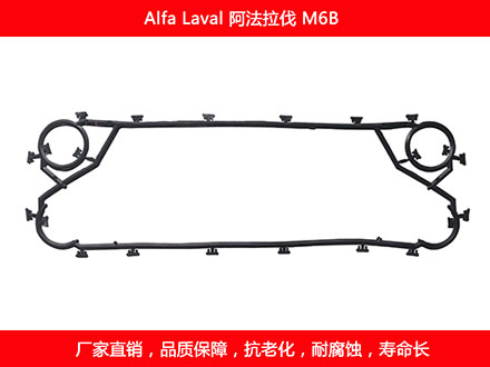 M6B 國產板式麻豆视频APP下载安装密封墊片